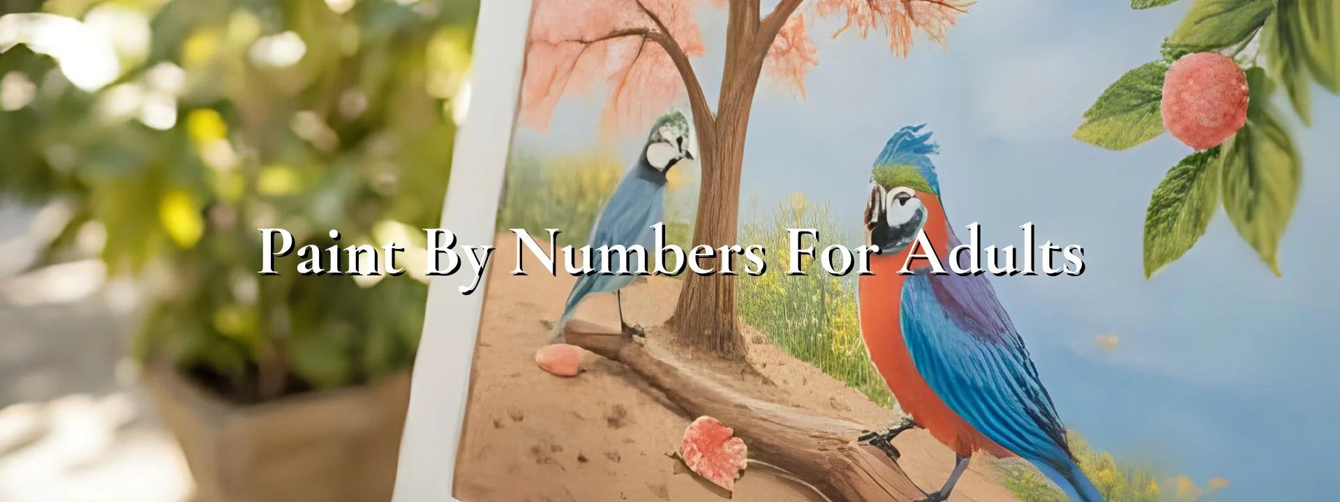 Paint By Number For Adults