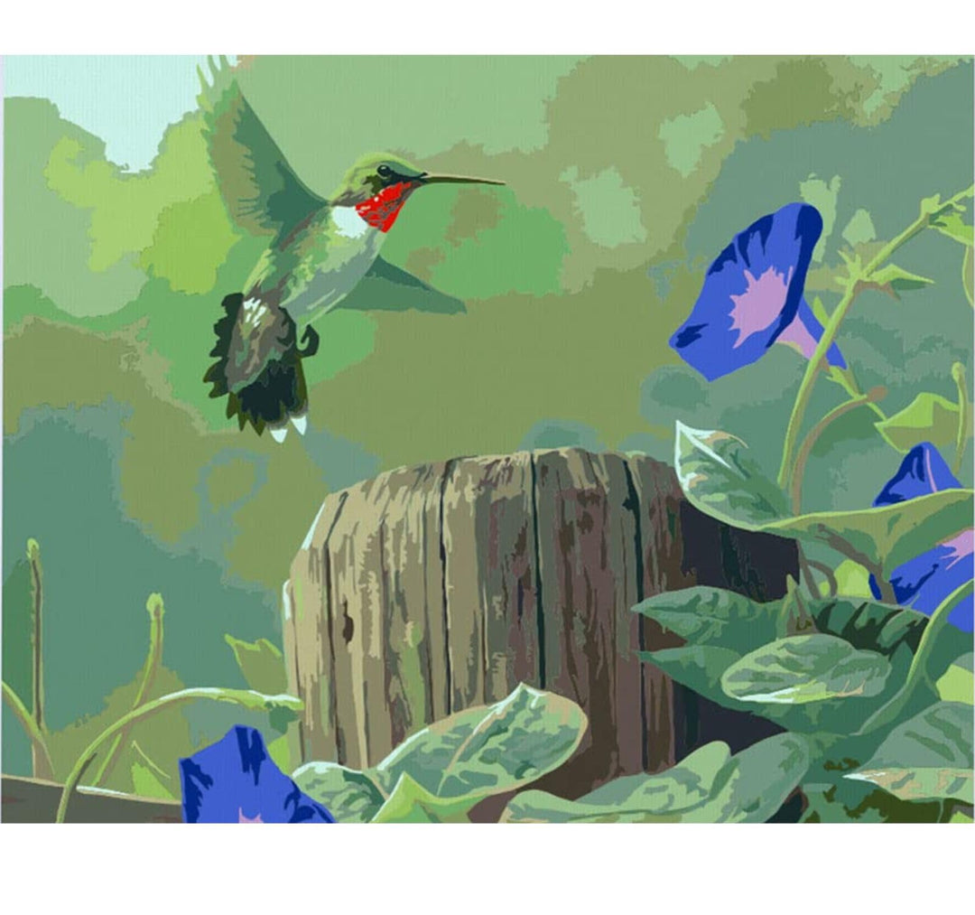 Hummingbird - Ledgebay