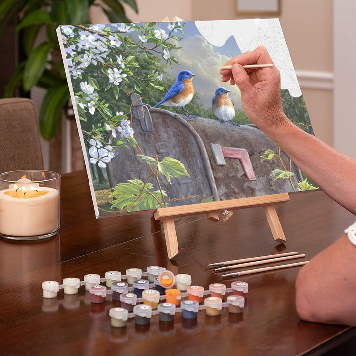 Rural Route Bluebirds - Extra Paint - Ledgebay