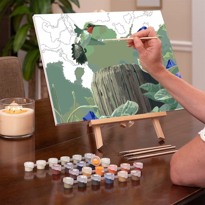 Hummingbird  - Extra Paint Set - Ledgebay