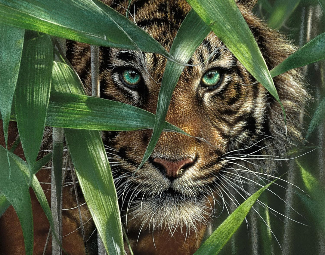 Bamboo Tiger - Ledgebay