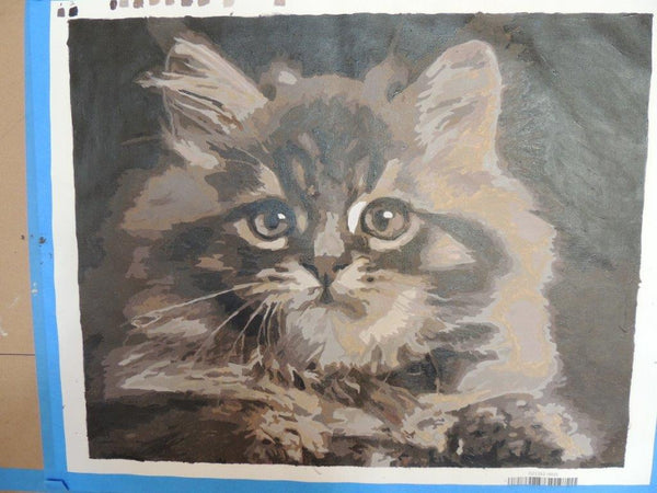Custom paint by numbers made from Anita N's own photo: a grey tabby kitten looking straight at the viewer