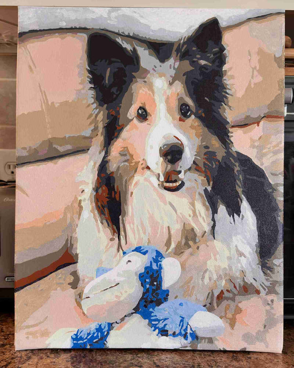 Custom paint by numbers made from Connie R's own photo: a Shetland sheepdog resting its chin beside a blue toy