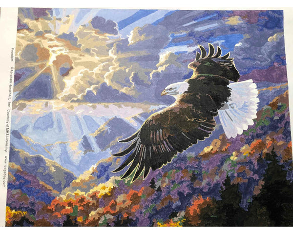 Paint by numbers completed by Frank S: a bald eagle soaring above autumn mountains
