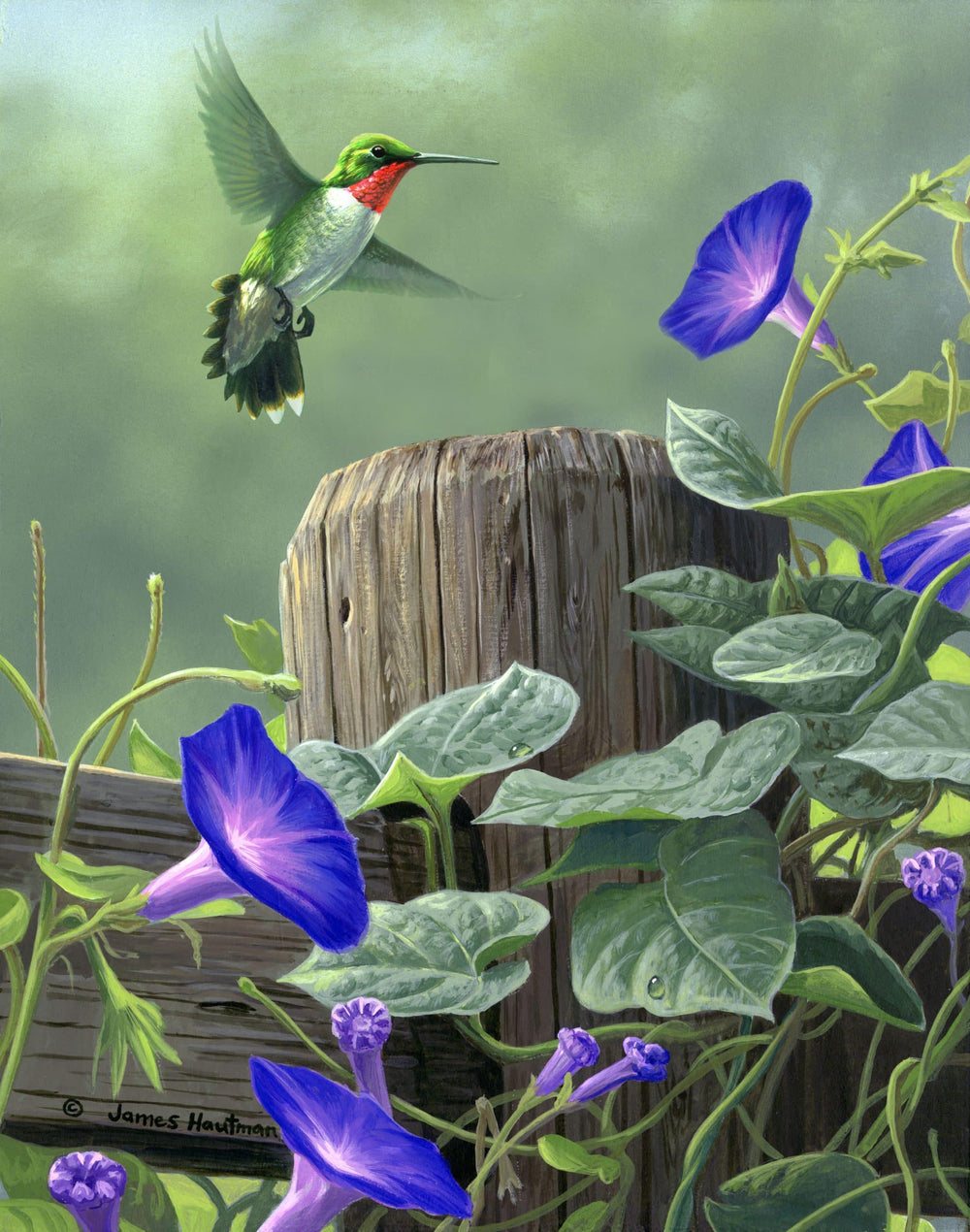 Hummingbird paint by numbers kit by Ledgebay