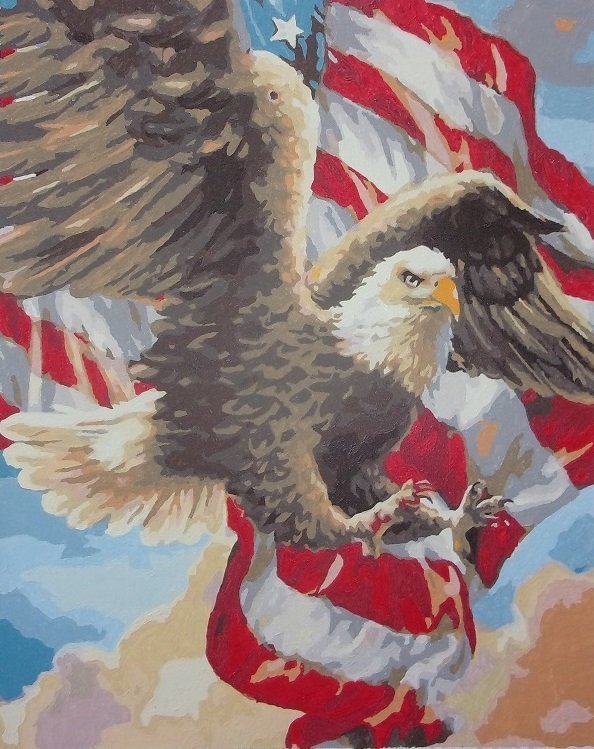 Paint by numbers completed by Henry: a bald eagle in flight against the American flag
