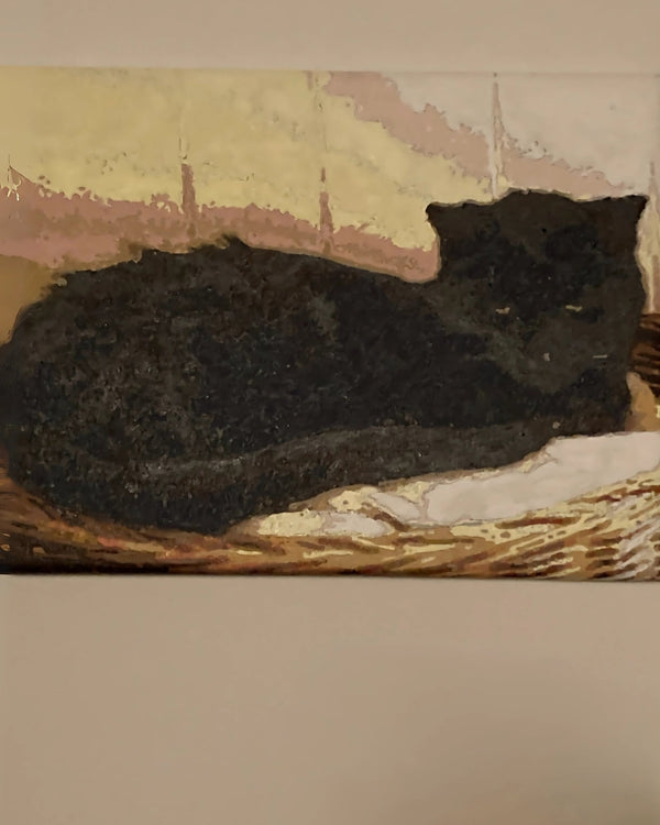 Custom paint by numbers made from Donna D's own photo: a black cat curled up asleep in a basket