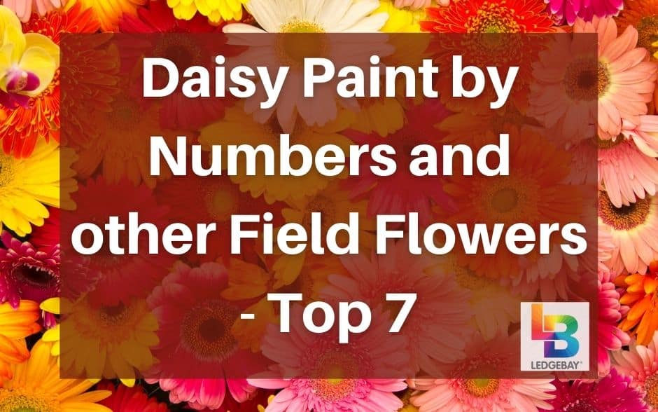 daisy-paint-by-numbers