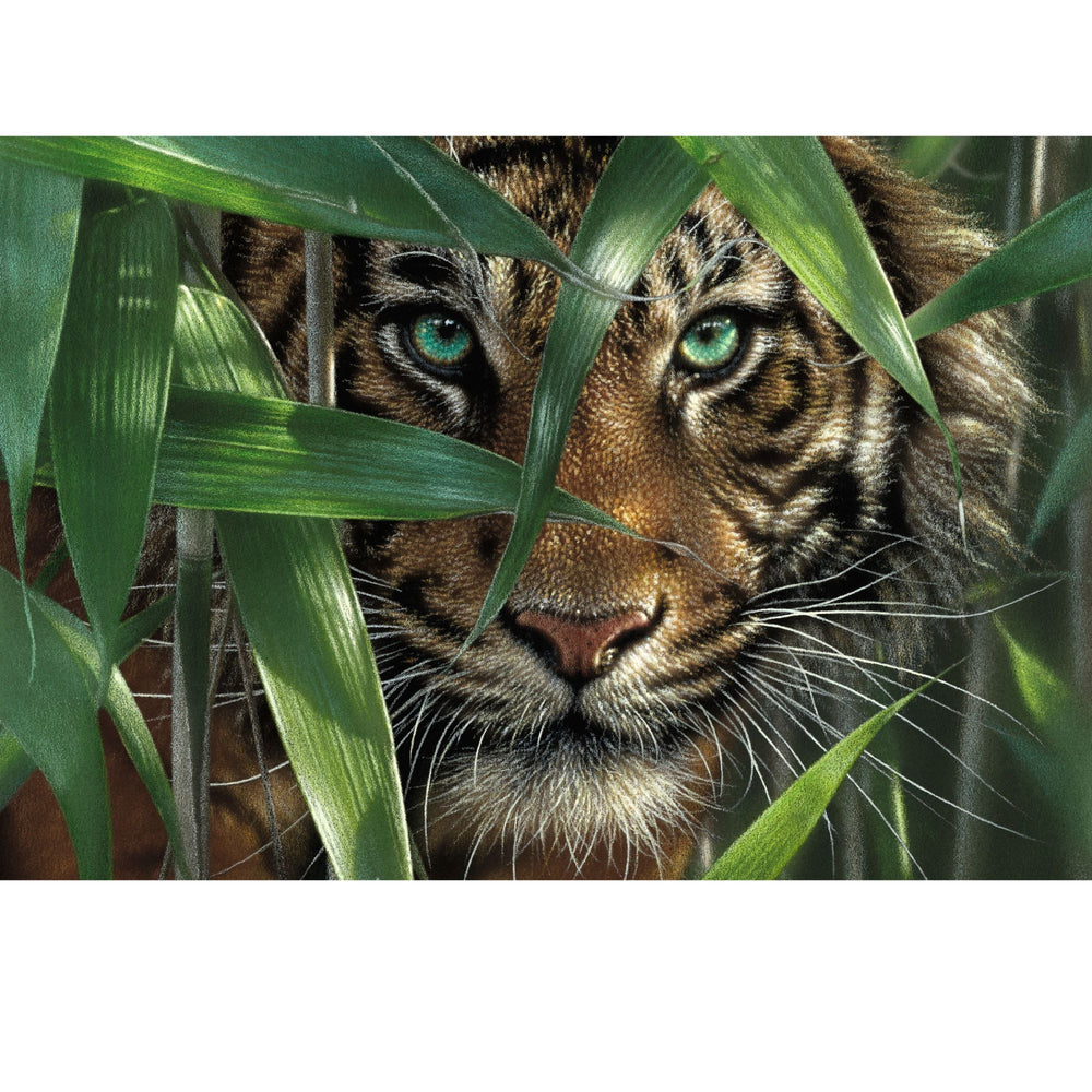 Bamboo Tiger paint by numbers kit by Ledgebay