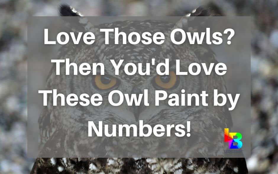 owl-paint-by-numbers