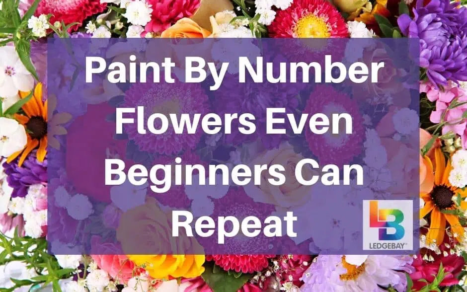 paint by number flowers