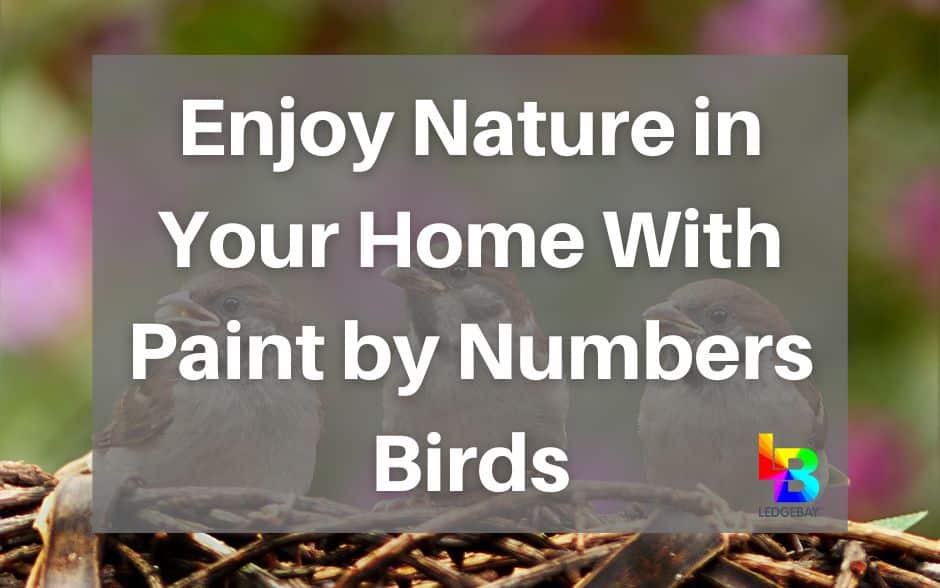 paint-by-numbers-birds