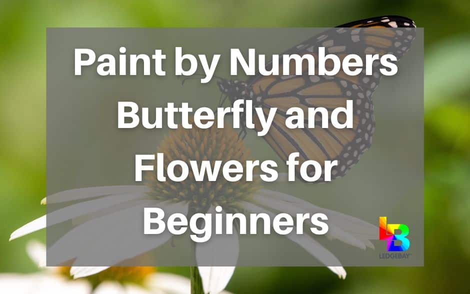 paint-by-numbers-butterfly