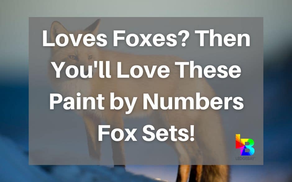 paint-by-numbers-fox