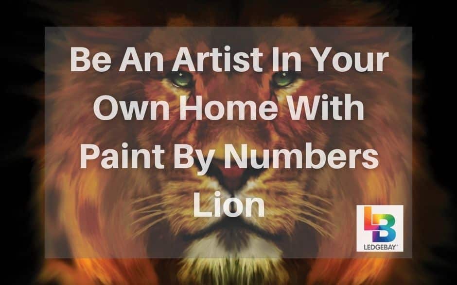 paint-by-numbers-lion