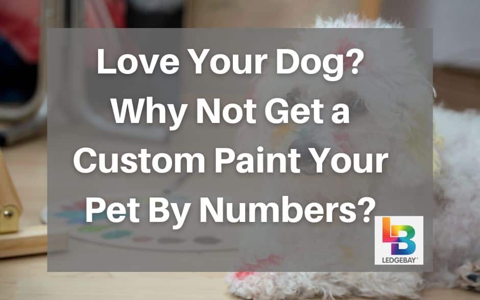 paint-your-pet-by-numbers