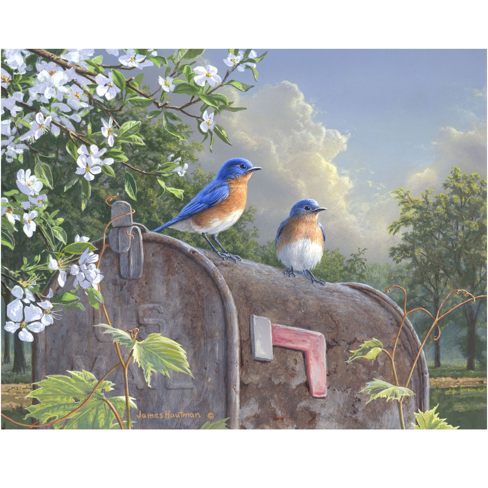 Rural Route Bluebirds paint by numbers kit by Ledgebay