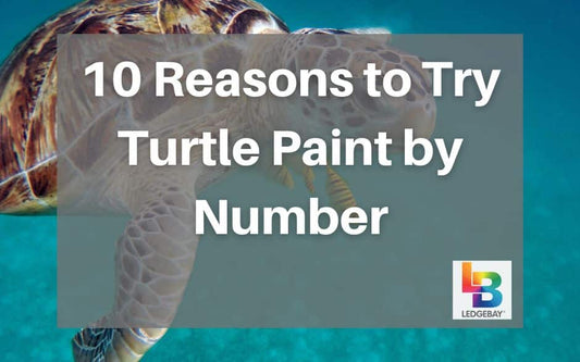 turtle-paint-by-number