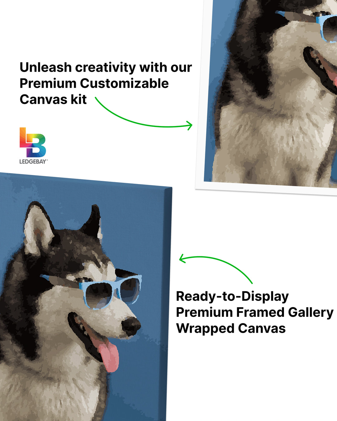 Custom Paint by Numbers